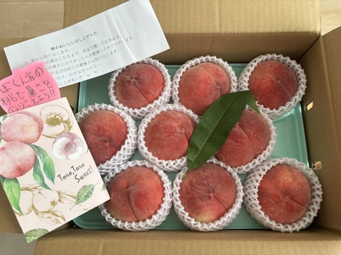 【夏ギフト】 あかつき 約3kg 8～10個