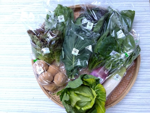 真喜子さん専用サイト、
【青梅】＋【たっぷりいろいろ　２０００円セット】
農家人が選ぶ旬野菜のおまかせセットです。
世界農業遺産ブランド野菜を採れたて新鮮な状態でお届け致します。