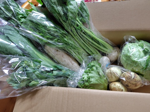 けのひの旬の野菜セット（7～8品目）