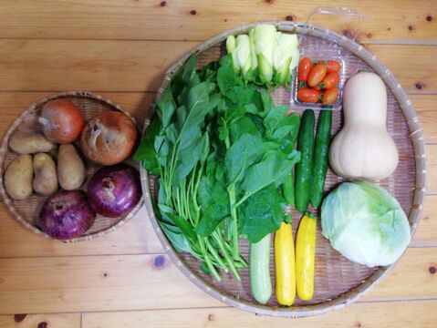 【農薬・化学肥料不使用】花オクラ入り野菜セット【６～８種類の野菜】【食べ方説明書付き】【金曜日クール便で発送】【あわせ買い可】【熨斗(のし)対応可】【８０サイズ箱】