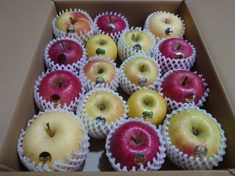 《予約受付》 パキジロウ農園のスペシャル箱　りんご詰め合わせ5kg（14個～18個）青森県産りんご　家庭用