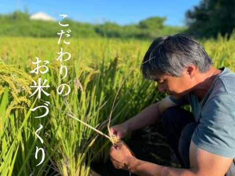 【新米】R5:にじのきらめきクリーン白米（無洗米相当）4.5kg（農薬不使用栽培）