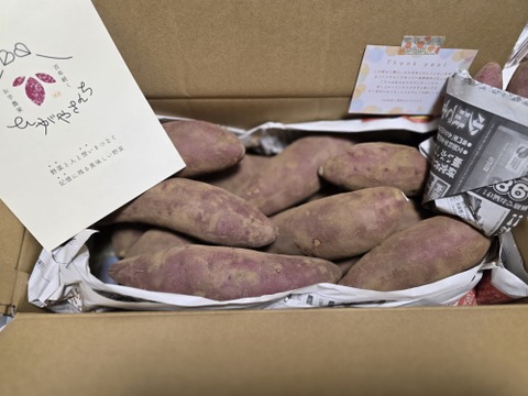 【新品種🍠Lサイズ】熟成栗かぐや土付き（3kg）