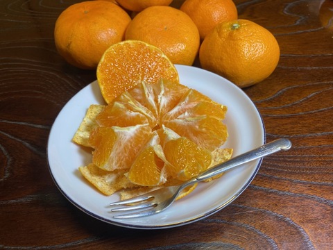 訳アリ】甘平🍊正直見た目は良くないです 3キロ家庭用 でも味は嘘を