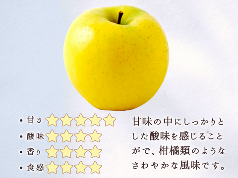シナノゴールド６玉 ギフトボックス【2025先行予約】【信州長野県産】※10月下旬より発送開始
