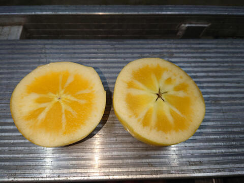 希少品種　こうこう　３キロ　家庭用