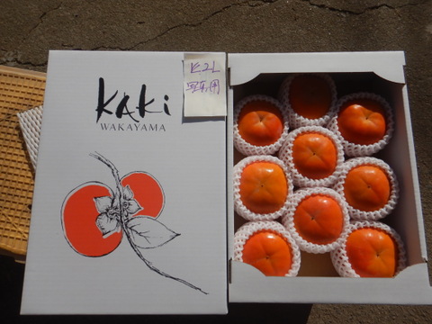 贈ってもらえると嬉しい　和歌山晩秋の味覚　富有柿　贈答品　9個入り