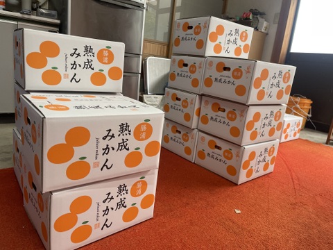 濃ーーーい甘さ！とくしま県・勝浦産『貯蔵みかん』【秀品】5キロ