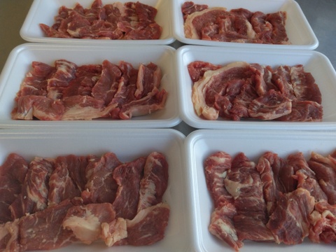 有機北里八雲牛31ヶ月齢去勢牛　小肉　100g　安心安全な草だけを食べて育った自然放牧牛の赤身肉　グラスフェッドビーフ