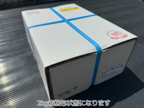 桃の概念が変わる硬さ【おどろき】2kg 数量限定