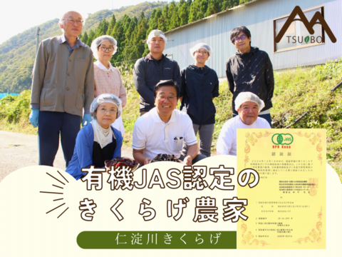 高知県仁淀川町産『(生)あらげきくらげ』奇跡の水で育てた「夏場しか食べれない贅沢」さらに“極上”の品質だけを選び抜いた“premium“な”生きくらげ”。季節限定。大容量2kg(500g×4パック)