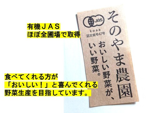 鹿児島のさつまいもはそのやま農園　“さつま紅はるか”　実はファンの多いミニミニSサイズ   今シーズンも元気においしくスタート！　今年は10月の掘りたてでも超絶おいしい！10ｋｇ　有機ＪＡＳ