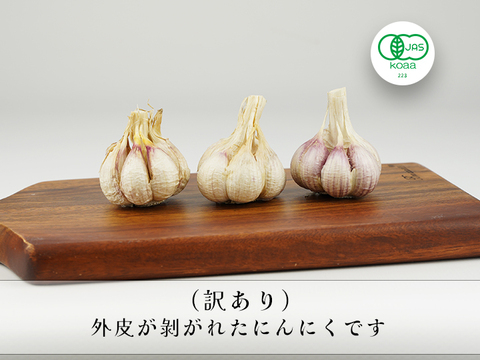 宮崎県産 有機にんにく】 2025年（令和7年度）今年採れた有機