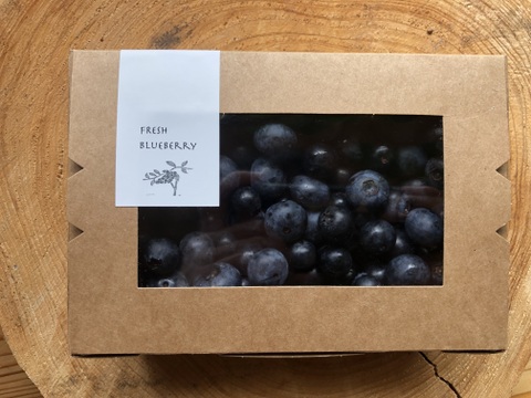 【予約商品】のんびり山の朝摘みブルーベリー   / 400g
