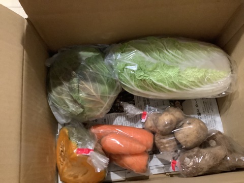 ♪色とりどり♪『農薬,化学肥料不使用』【4~5人前】季節の野菜Lセット（13～14品）「群馬県高崎産」