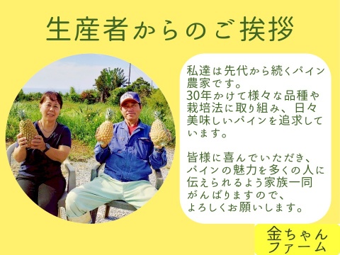 【甘酸ジューシー】定番のパイン『ジュワリー』約4.0kg