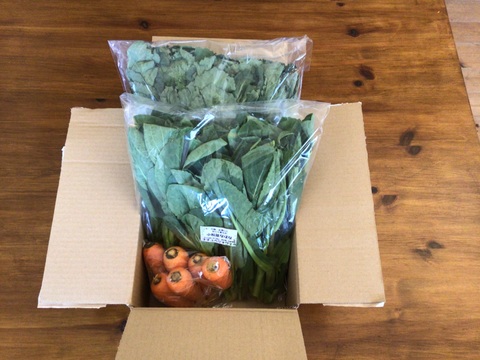 【自然栽培🍀60サイズ】春を感じる🌸採れたて！旬菜セット