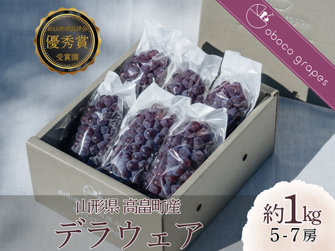 【2026年予約販売】甘さはじける！デラウェア1kg（5-7房）【お中元】