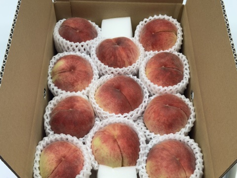 桃『訳あり品』『ご家庭用』品種おまかせ　3kg