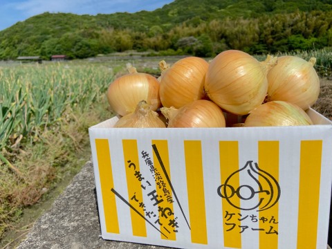 【淡路島産】特別栽培 玉ねぎ 5kg