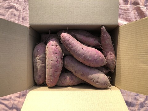 しっとりねっとり甘い自然栽培紅はるか　山梨県産　百笑有田農園