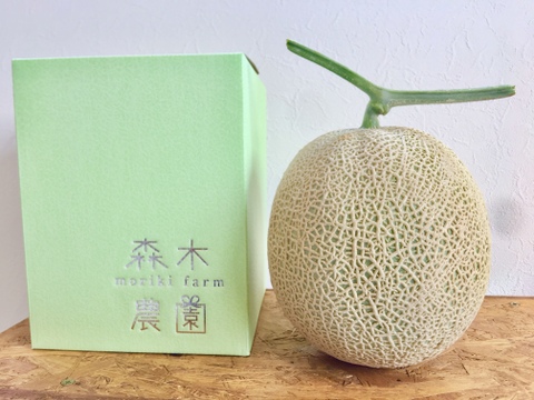 数量限定【メロン1玉セット】一果穫りの贅沢果実アールスメロン