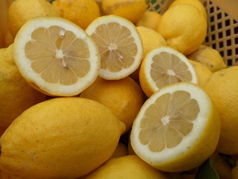 【完熟】【栽培期間中農薬不使用】大崎上島産レモン4kg