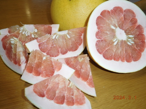 【柑橘食べ比べ】 🔴 伊豆産！春の柑橘うれしい６種詰め合わせ　　正味4.0㎏　大小混合
