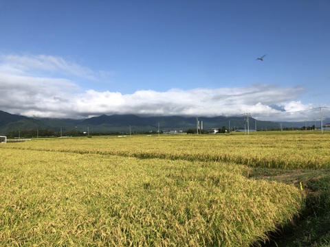 新米コシヒカリ30キロ　北アルプス　安曇野産【冬ギフト】