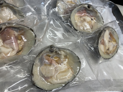 ホッキ貝/スチーム処理済/ハーフシェル/200～300ｇ/5個/そのまま焼きやBBQ可能【冷凍】