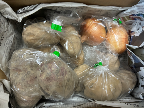 【20個限定お試しセット】ジャガイモ3種+タマネギ『じゃが玉セット』(合計2kg)