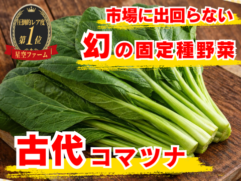 🥬青菜No.1のカルシウム🥬 強い骨は食卓でつくる💪古代小松菜 ☆古代種ブランド野菜【農薬不使用】【化学肥料不使用】【品種改良なしの固定種】お試し約500g🥬5月中旬予約🥬