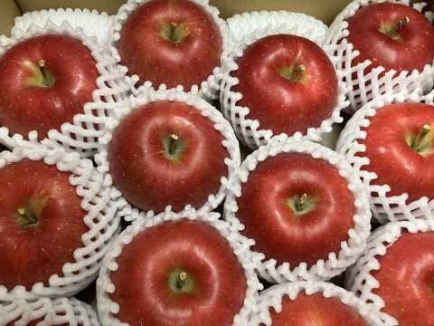 【贈答用】青森県産りんご「シナノスイート」約5kg【光センサー選果】