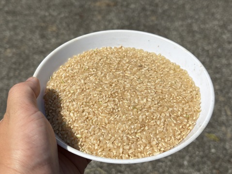 【令和7年 新米】【とまほっぺ】コシヒカリ・精米 5kg｜愛媛・久万高原直送