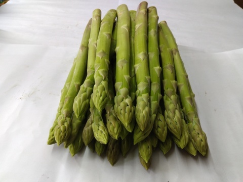 シャキシャキ！さぬきのめざめ秀品2Lサイズ夏芽1㎏