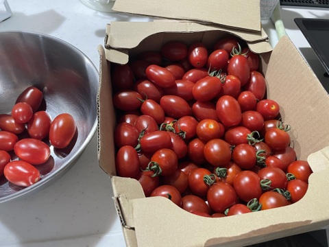 【お得セット】北海道から野菜詰め合わせ　１００サイズにズッシリ　トマトたっぷりと色々な野菜