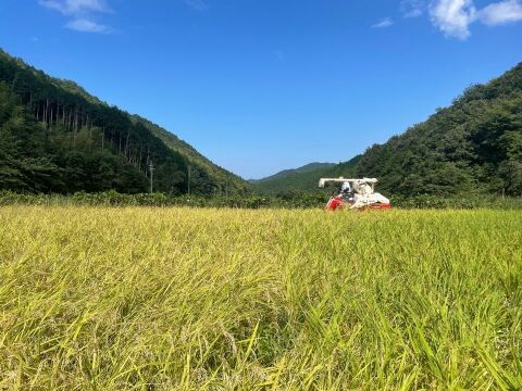 鳥取の清流育ち　令和7年産新米【星空舞】5kg｜冷蔵保存で鮮度抜群！