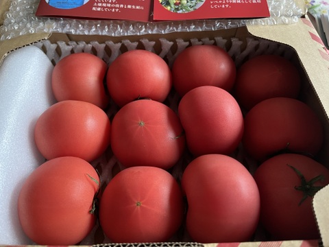 【北海道産】🍅樹上熟3段採り🍅桃太郎トマト2キロ箱〈正品〉