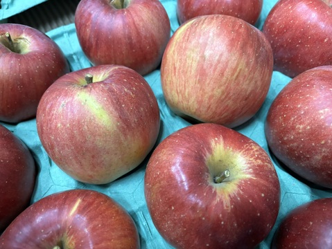 【シナノスイート】5kg(13〜20玉)入り🍎完熟りんご