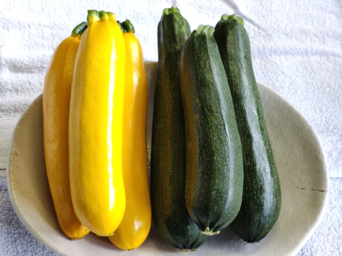 ズッキーニ　野菜　農薬不使用　農家直送 ズッキーニ 野菜 農薬不使用 農家直送 - メルカリ