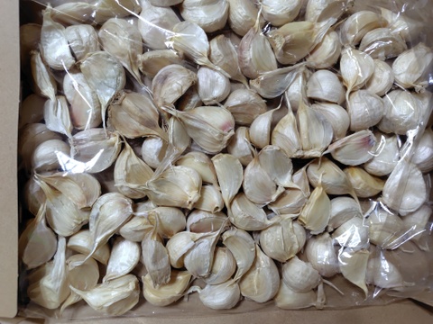 【毎年1万箱売れてます】長崎県産　『おのんにんにく』500g