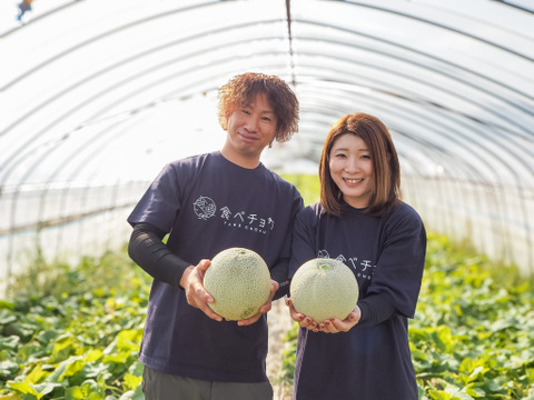 【有明海育ちの春メロン】くまもと産アンデスメロン4玉