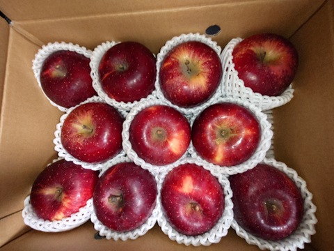 【りんご】福島県オリジナル品種！酸味が美味！「べにこはく3ｋｇ」（フリーサイズ）