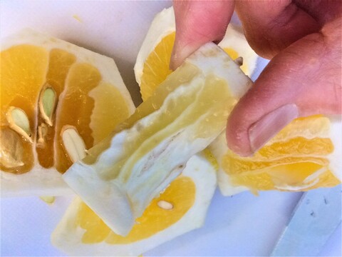伊豆の朝採り『ニューサマーオレンジ』8Kg【農薬・肥料・除草剤不使用】外皮は刻んでサラダやアイスクリームに！