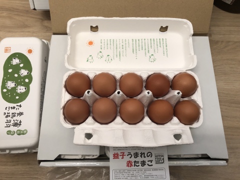 【枯草菌・30個×2箱】使い易い10個入り×6パック。オレンジ色が鮮やか🎵濃厚な黄身🍳、枯草菌育ちの赤たまご60個