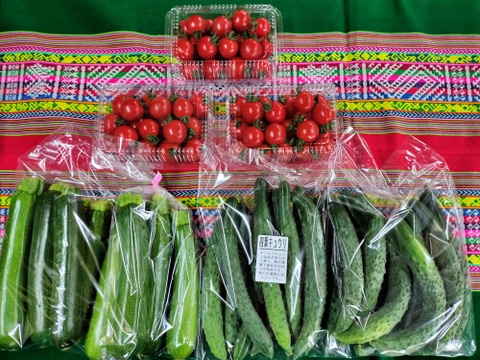 完熟ミニトマト1ｋｇ+きゅうり20本+ズッキーニ8本★　パチャママ農園