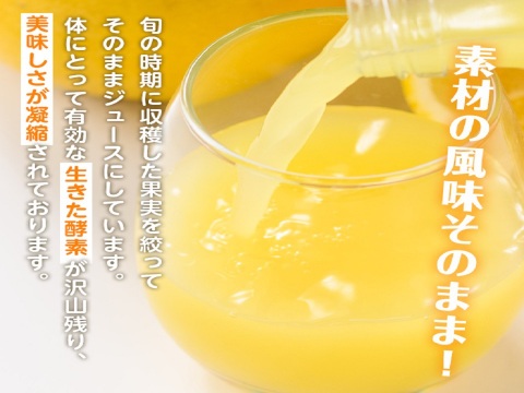 【夏ギフト】贅沢飲み切りタイプ！河内晩柑ストレートジュース　8本セット