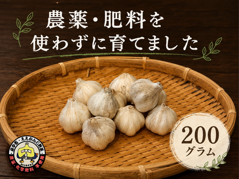【自然農法で栄養満点】小ぶり にんにく⭐︎200g⭐︎尾道市産【農薬•肥料　不使用】