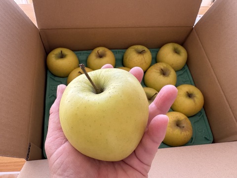 【家庭用】シナノゴールド 約2.5kg 7-14玉 パリっと歯ごたえジューシー  10月下旬頃から発送 訳あり#NAG0B025