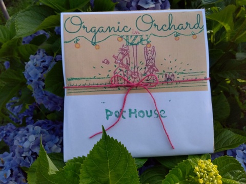 【福袋2025】【贈答用】【特秀品】【秀品】【夏ギフト】”朝積みブルーベリー1kgと煮え立てブルーベリージャム1瓶”　農薬・肥料・除草剤不使用